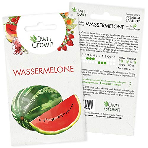 Wassermelone Samen: Premium Melone Samen für ca. 5x Wasser Melone Pflanzen – Pflanzen Samen der Sorte Crimson Sweet – Saatgut Melone, Obst Samen – Frucht Samen winterhart von OwnGrown von OwnGrown