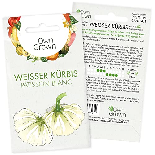 Weißer Kürbis Samen: Premium Patisson Kürbis Samen zur Anzucht von 4 Gemüse Pflanzen – Saatgut Kürbis – Gemüse Samen Kürbis – Gemüsesamen von OwnGrown von OwnGrown