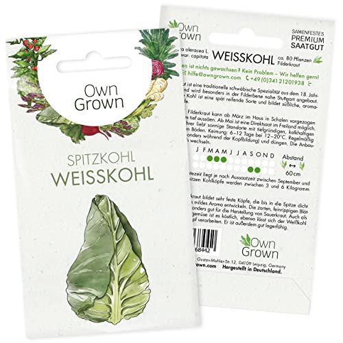 Weißkohl Samen: Kohl Samen für die Anzucht von 80 Weißkohl Pflanzen – Alte Gemüse Samen – Wintergemüse Samen – Gemüsesamen Alte Sorten – Samen Gemüse Alte Sorten – Saatgut Alte Sorten von OwnGrown von OwnGrown