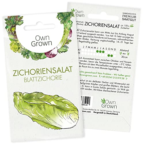 Zichorien Samen: Zichoriensalat Samen zum Anbau von 150 Salat Pflanzen – Salat Samen, Wintergemüse Samen, Gemüse Samen, Gemüsesamen – OwnGrown Saatgut, chilli geschenkset von OwnGrown