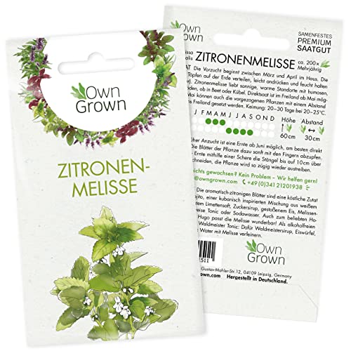 Zitronenmelisse Samen: Melisse Samen für 200 Cocktail Kräuter Pflanzen in Balkon und Garten – Wildkräuter Samen Kräuter – OwnGrown Kräuter Samen von OwnGrown