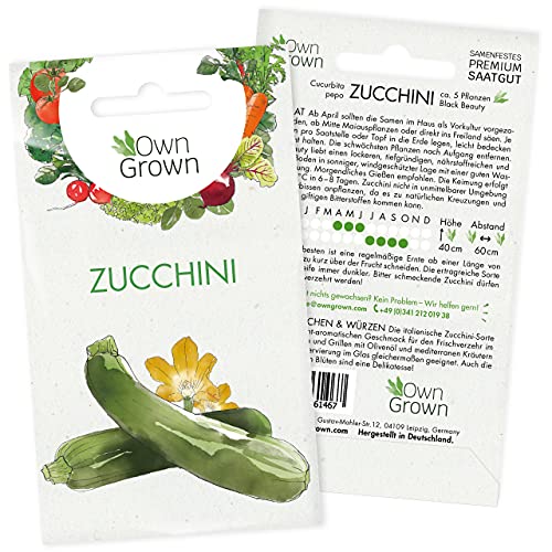 Zucchini Samen: Premium Zucchini Saatgut für die Anzucht von ca. 5 Zucchini Pflanzen – Samenfeste Gemüse Samen – Samen Gemüse – Gemüse Pflanzen Samen für Gemüse Anzucht – Gemüse Saatgut von OwnGrown… von OwnGrown