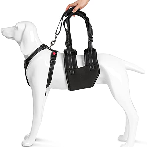 Ownpets Hundegeschirr, Verstellbarer Hebegeschirr für Hunde, Unterstützung der Ganzkörpermobilität für ältere, ältere Hunde mit Verletzungen an Vorder- und Hinterbeinen, Knien, Gelenken und Hüften, XL von Ownpets