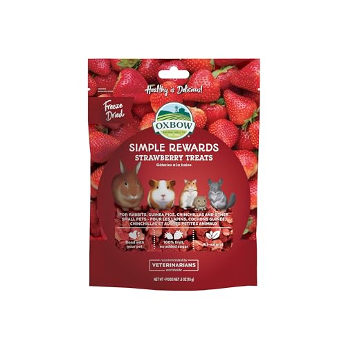 Oxbow SIMPLE REWARDS Treats - Rabbit Guinea Pig Chinchilla STRAWBERRY .5 oz von OXBOW