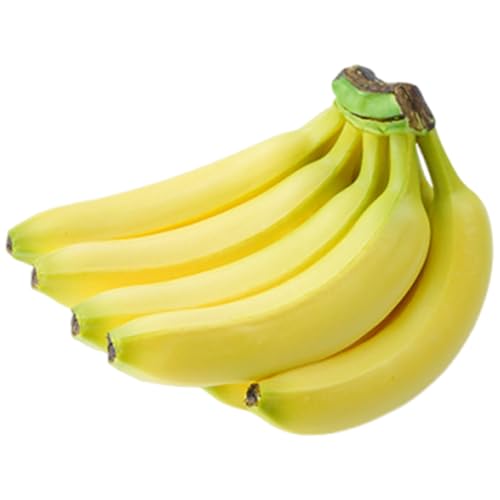 Oxtxuzdm Realistische künstliche Bananen-Simulationsfruchtmodell für Heimdekoration, Korb, Display, Klassenzimmer, Lehrhilfe, Fotografie, realistische künstliche Obstdekoration Oxtxuzdm Realistische künstliche Bananen-Simulationsfruchtmodell für Heimdekoration, Korb, Display, Klassenzimmer, Lehrhilfe, Fotografie, realistische künstliche Obstdekoration von Oxtxuzdm