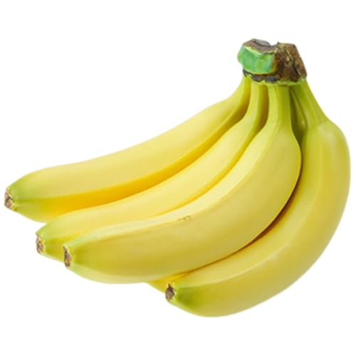 Oxtxuzdm Realistische künstliche Bananen-Simulationsfruchtmodell für Heimdekoration, Korb, Display, Klassenzimmer, Lehrhilfe, Fotografie, realistische künstliche Obstdekoration Oxtxuzdm Realistische künstliche Bananen-Simulationsfruchtmodell für Heimdekoration, Korb, Display, Klassenzimmer, Lehrhilfe, Fotografie, realistische künstliche Obstdekoration von Oxtxuzdm