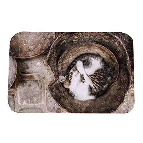 Oxxggkao Cartoontier Für Katzendruckteppiche Fußmatte Badezimmer Anti Schlittenmatte Außeneingang Innenteppich Badezimmer Anti Schlupf Matte Oxxggkao Cartoontier Für Katzendruckteppiche Fußmatte Badezimmer Anti Schlittenmatte Außeneingang Innenteppich Badezimmer Anti Schlupf Matte von Oxxggkao