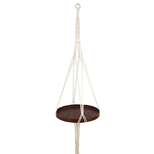 Oxxggkao Mahagoni Scheibe Hängende Pflanzer Sukkulente Pflanzwand Blumentopfhalter Pflanzgefäßhalter Oxxggkao Mahagoni Scheibe Hängende Pflanzer Sukkulente Pflanzwand Blumentopfhalter Pflanzgefäßhalter von Oxxggkao