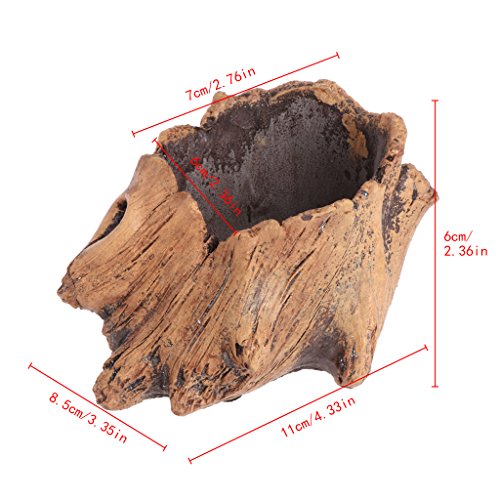 Oxxggkao Nachahmung Von Holzblumenzement Pflanzer Für Sukkulenten Blumenpots Bonsai Schwimmend Pflanzentopf Für Teich Oxxggkao Nachahmung Von Holzblumenzement Pflanzer Für Sukkulenten Blumenpots Bonsai Schwimmend Pflanzentopf Für Teich von Oxxggkao