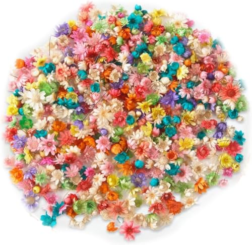 420 Stück Mini Getrocknete Blüten,Trockenblumen zum Basteln,Natürliche Getrocknete Blumen,Dried Flowers zum Basteln(Farbmischung),Trockenblumen Deko für DIY Nagel Epoxid Kerze Scrapbooking von Oykrueats