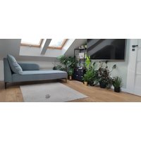 Chaiselongue Modern Comfort Plus Custom Made von OzziDesign