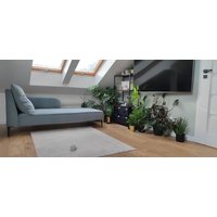 Chaiselongue Modern Comfort Plus Custom Made von OzziDesign
