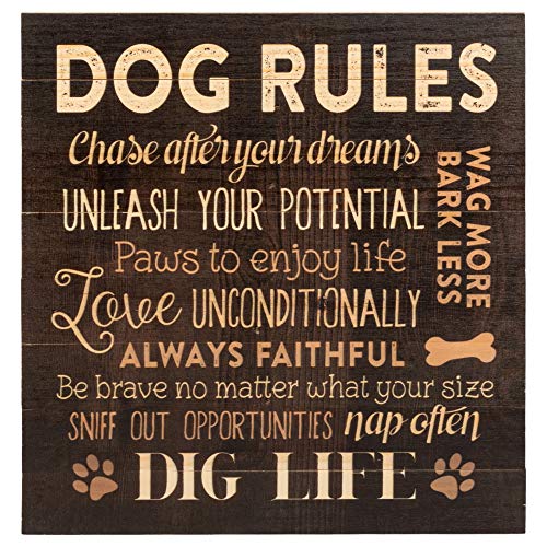 P. Graham Dunn Dog Rules Wandschild mit Pfotenabdrücken, Holz, Paletten-Design, 30,5 x 30,5 cm von P. Graham Dunn