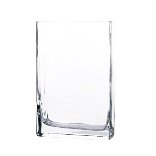 PA-DABAOO Quadratisches Aquarium Aus Glas, Leicht Zu Pflegen, Durchsichtiges Rahmenloses Aquarium, 360-Grad-Ansicht, Tisch-Aquarien Für Die Präsentation Auf Dem Schreibtisch,L von PA-DABAOO