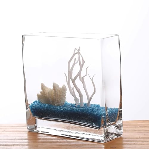 PA-DABAOO Quadratisches Aquarium Aus Glas, Leicht Zu Pflegen, Durchsichtiges Rahmenloses Aquarium, 360-Grad-Ansicht, Tisch-Aquarien Für Die Präsentation Auf Dem Schreibtisch,S Set von PA-DABAOO