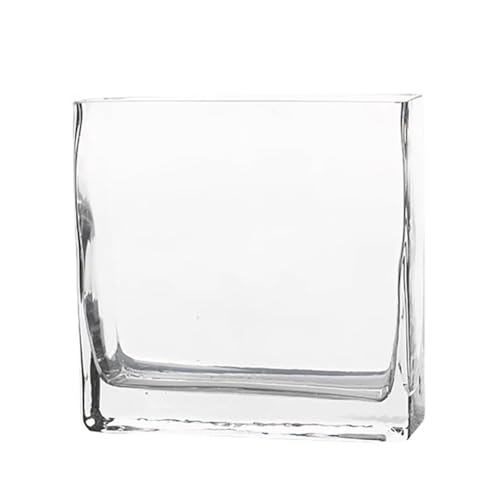 PA-DABAOO Quadratisches Aquarium Aus Glas, Leicht Zu Pflegen, Durchsichtiges Rahmenloses Aquarium, 360-Grad-Ansicht, Tisch-Aquarien Für Die Präsentation Auf Dem Schreibtisch,S von PA-DABAOO