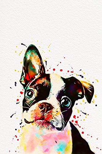 Boston Terrier Hund Malen Nach Zahlen Erwachsene Kinder, DIY Leinwand Ölgemälde 40 x 50cm für Home Haus Dekor von PAAANING