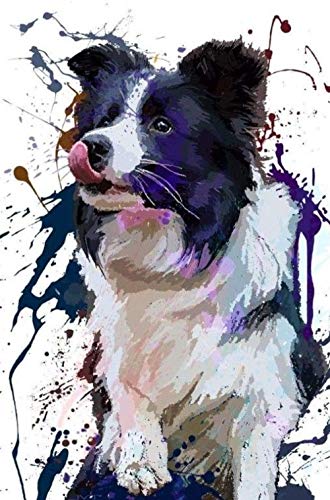 PAAANING DIY Ölgemälde Malen nach Zahlen Erwachsene Kinder,Zahlenmalerei Öl Wandkunst - Hund Border Collie von Homry