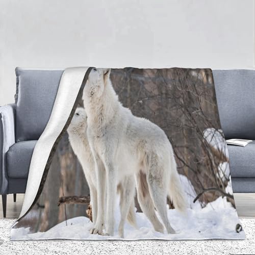 PAAHRYI Wolfsmuster Decke,3D Drucken Wald Wild Tier Wolf Flauschig Decke,bequem und atmungsaktiv,Decke Klimatisierte Sofadecke,Camping für Erwachsene Kinder (130 x 150 cm, B) von PAAHRYI