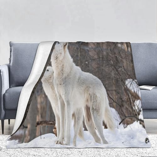 PAAHRYI Wolfsmuster Decke,3D Drucken Wald Wild Tier Wolf Flauschig Decke,bequem und atmungsaktiv,Decke Klimatisierte Sofadecke,Camping für Erwachsene Kinder (150 x 200 cm, B) von PAAHRYI