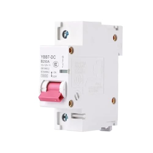 Automatischer Schalter DC 1P 2P 80A 100A 125A 150A 200A 250A 12V 24V 36V 48V 60V 72V 120V für Solarzellen und Batterien für Wohnmobile (1P, 100A) von PABVRPYT
