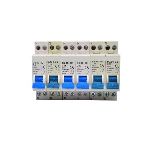 DZ30-32 DPN 1P+N Circuit Breaker 6A 10A 16A 20A 25A 32A Mounting Cutout Household Air Switch OEM DIY(6A) von PABVRPYT
