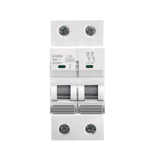 GYM9H 10KA MCB 2P 6A 10A 16A 20A 25A 32A 40A 50A 63A Circuit Breaker 220V C Curve Manufacturer(63A) von PABVRPYT