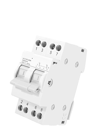 Manual Transfer Switch 2P 40A 63A Dual Power Manual Conversion Isolating Switch(63A) von PABVRPYT