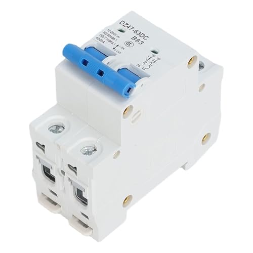 Stromkreisschutz 1p/2p für Solarsystem, Lithium-Batterie, Leistungsschutz, DC12V 24V 48V 60V 120V 63A 80A 100A 125A 150A 200A 250A (2P,100A) von PABVRPYT