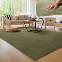 Paco Home Moderner Wohnzimmer Teppich Kurzflor Waschbar Weich Einfarbig Felloptik Anti-Rutsch 300x400 cm, Hellgrün von PACO HOME