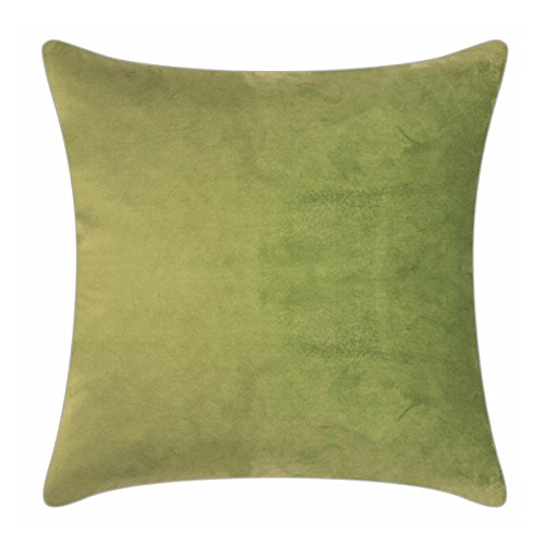 PAD - Elegance - Samt Kissen, Zierkissen, Kissenhülle - 40 x 40 cm - Farbe: Hellgrün - ohne Füllung von PAD