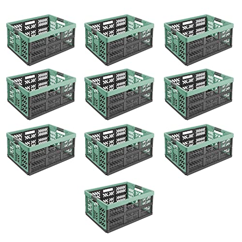 10X Stabile Profi Klappbox 45L - 54 x 37 x 28 cm - Einkaufskiste klappbar mit Soft-Griffe - Transportkiste stapelbar, Grün/Graphit von PAFEN