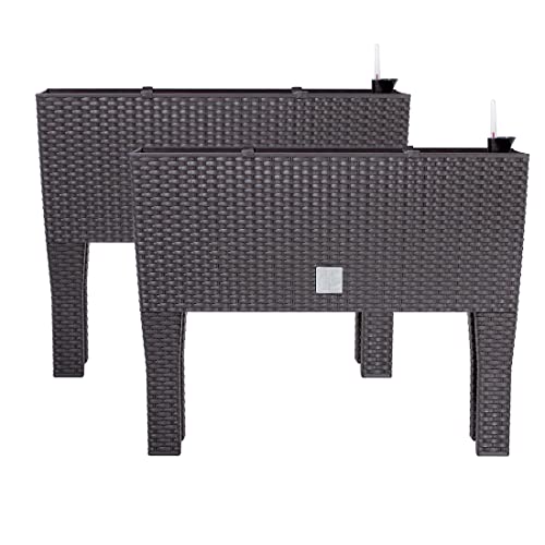 2X Blumentöpf Blumenkasten mit Füßen – 595 x 240 x 460 mm - Pflanztopf Rattan-Optik Übertopf Wasserstandsanzeiger Balkonkasten Pflanzkästen, Umbra von PAFEN
