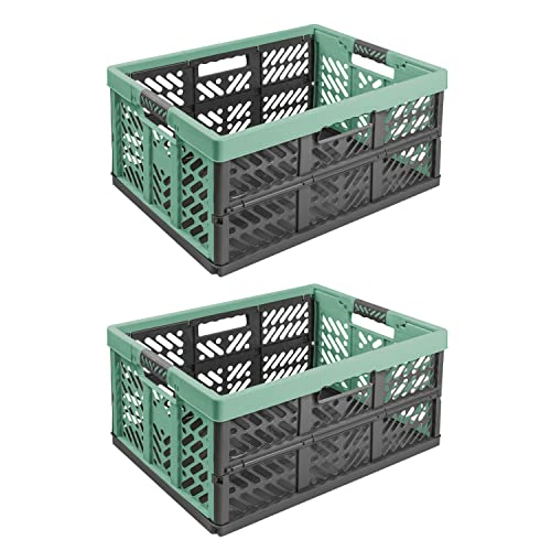 2X Stabile Profi Klappbox 45L - 54 x 37 x 28 cm - Einkaufskiste klappbar mit Soft-Griffe - Transportkiste stapelbar, Grün / Graphit von PAFEN