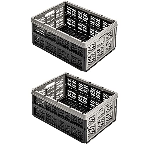 2x Stabile Profi Klappbox 32L - 36 x 49 x 23,5 cm - Einkaufskiste klappbar Transportkiste stapelbar Grau/Graphit 2x Stabile Profi Klappbox 32L - 36 x 49 x 23,5 cm - Einkaufskiste klappbar Transportkiste stapelbar Grau/Graphit von PAFEN