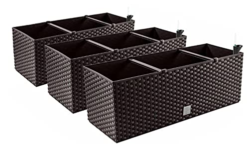3X Blumenkasten Blumentopf Rattan-Optik - 60 x 25 x 24 cm - Pflanztopf Bewässerungssystem Balkonkasten Pflanzkästen, Umbra 3X Blumenkasten Blumentopf Rattan-Optik - 60 x 25 x 24 cm - Pflanztopf Bewässerungssystem Balkonkasten Pflanzkästen, Umbra von PAFEN