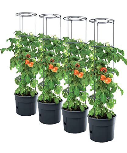 PAFEN 4X Tomatenpflanze Pflanzkübel - 295 x 1152 mm - Tomato Grower Pflanzen Tomate Garten Terrasse von PAFEN