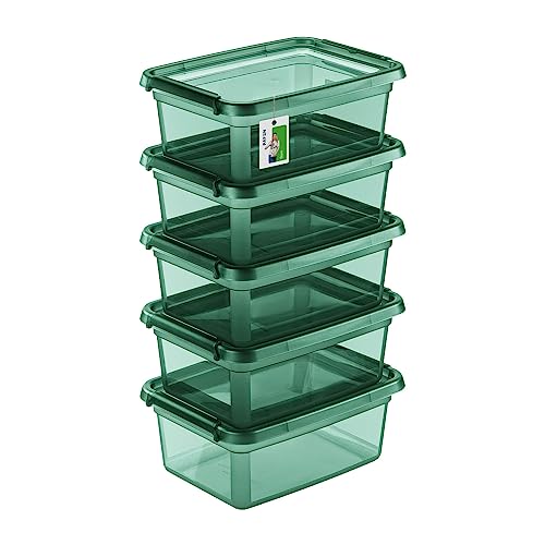 5X Aufbewahrungsbox mit Deckel 12,5L - 38 x 28,5 x 16 cm - Boxen Aufbewahrung Stapelboxen mit Verschlussclips Kunststoffbehälter Kleiderboxen Transparent Organizer | Grün 5X Aufbewahrungsbox mit Deckel 12,5L - 38 x 28,5 x 16 cm - Boxen Aufbewahrung Stapelboxen mit Verschlussclips Kunststoffbehälter Kleiderboxen Transparent Organizer | Grün von PAFEN