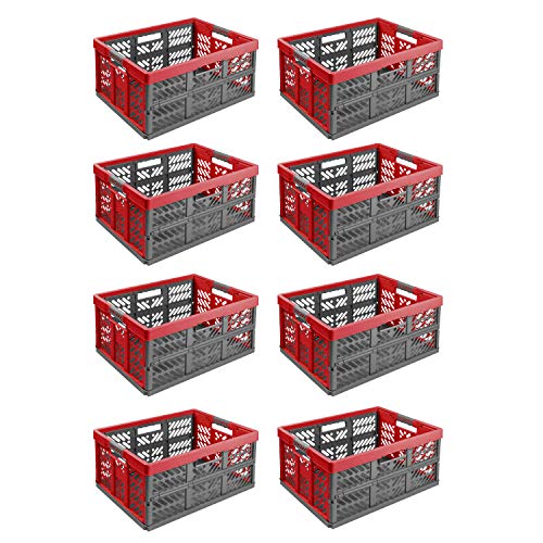 8X Stabile Profi Klappbox 45L - 54 x 37 x 28 cm - Einkaufskiste klappbar mit Soft-griffe - Transportkiste stapelbar Rot/Anthrazit 8X Stabile Profi Klappbox 45L - 54 x 37 x 28 cm - Einkaufskiste klappbar mit Soft-griffe - Transportkiste stapelbar Rot/Anthrazit von PAFEN