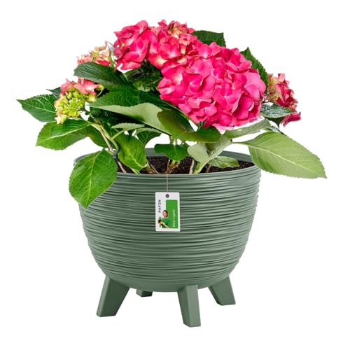 Blumentopf mit Füßen 5l - 230 x 190 mm - Pflanzkübel auf Beinen Übertopf aus Plastik Topf skandinavischen Design, Grün von PAFEN