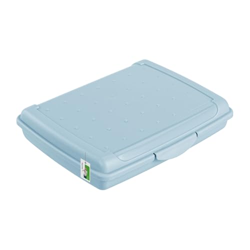 Brotdose Lunchbox Erwachsene Kinder 0,5l - 170 x 130 x 30 mm - BPA Frei Vesperbox Frühstücksbox Brotbox, Blau von PAFEN