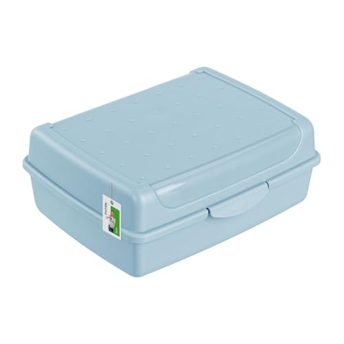 Brotdose Lunchbox Erwachsene Kinder 1,0l - 170 x 130 x 70 mm - BPA Frei Vesperbox Frühstücksbox Brotbox, Blau Brotdose Lunchbox Erwachsene Kinder 1,0l - 170 x 130 x 70 mm - BPA Frei Vesperbox Frühstücksbox Brotbox, Blau von PAFEN