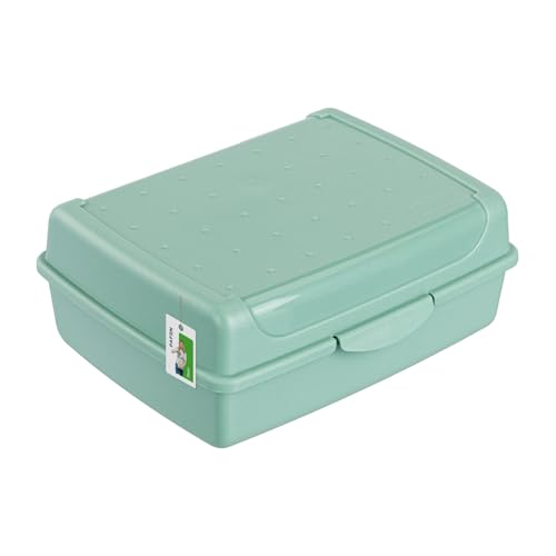 Brotdose Lunchbox Erwachsene Kinder 1,0l - 170 x 130 x 70 mm - BPA Frei Vesperbox Frühstücksbox Brotbox, Grün von PAFEN