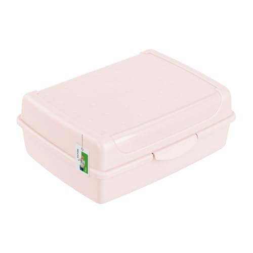 Brotdose Lunchbox Erwachsene Kinder 1,0l - 170 x 130 x 70 mm - BPA Frei Vesperbox Frühstücksbox Brotbox, Rosa von PAFEN