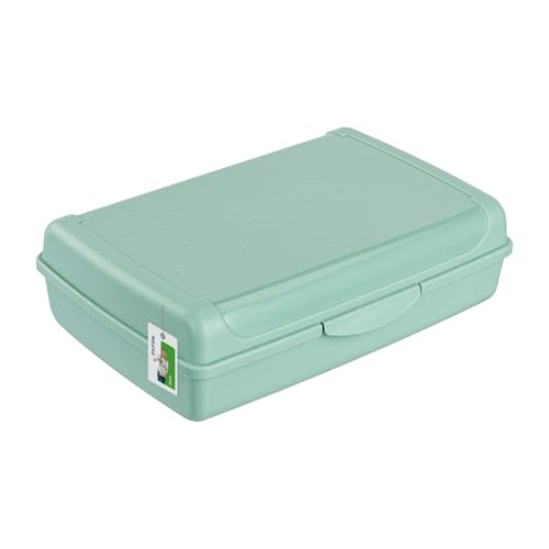 Brotdose Lunchbox Erwachsene Kinder 3,7l - 295 x 200 x 85 mm - BPA Frei Vesperbox Frühstücksbox Brotbox, Grün von PAFEN