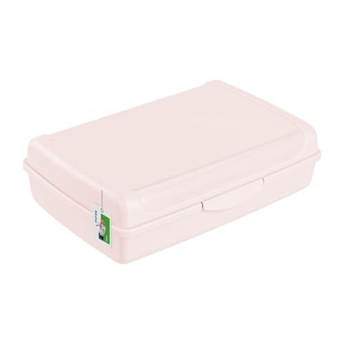 Brotdose Lunchbox Erwachsene Kinder 3,7l - 295 x 200 x 85 mm - BPA Frei Vesperbox Frühstücksbox Brotbox, Rosa von PAFEN