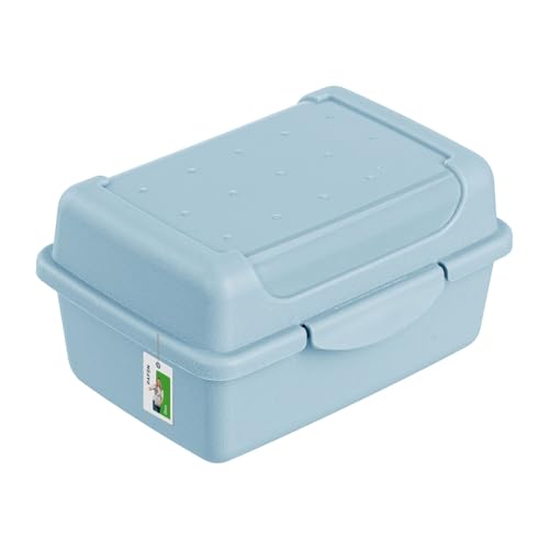 Lunchbox Erwachsene Kinder 0,35l - 110 x 75 x 60 mm - BPA Frei Vesperbox Frühstücksbox, Blau Lunchbox Erwachsene Kinder 0,35l - 110 x 75 x 60 mm - BPA Frei Vesperbox Frühstücksbox, Blau von PAFEN