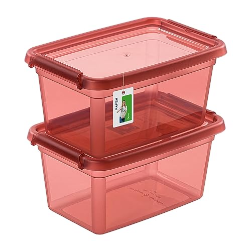 PAFEN 2X Aufbewahrungsbox mit Deckel 3L – 29 x 19,5 x 14 cm - Boxen Aufbewahrung Stapelboxen mit Verschlussclips Kunststoffbehälter Kleiderboxen Transparent Organizer | Rosa von PAFEN