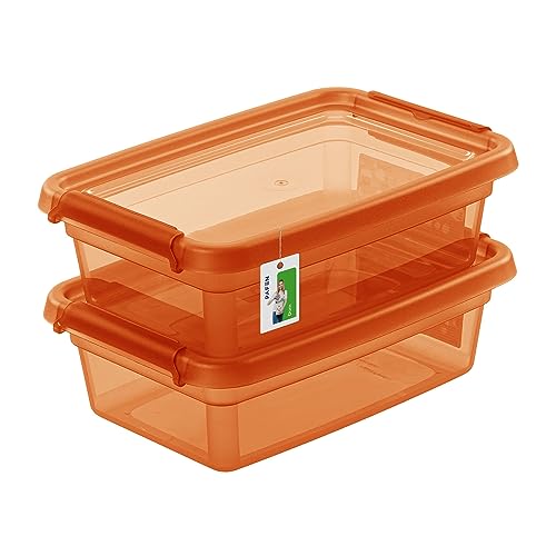 PAFEN 2X Aufbewahrungsbox mit Deckel 3L – 29 x 19,5 x 9 cm - Boxen Aufbewahrung Stapelboxen mit Verschlussclips Kunststoffbehälter Kleiderboxen Transparent Organizer | Orange von PAFEN