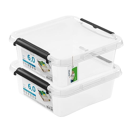 PAFEN 2x Aufbewahrungsbox mit Deckel 6,0-29 x 29 x 11 cm - SET Aufbewahrungsbehälter Transparent Boxen Aufbewahrung Stapelboxen mit Verschlussclips Kunststoffbehälter von PAFEN